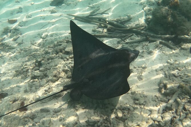 Scuba Diving Experience in Santorini - Cancellation Policy and Weather Considerations