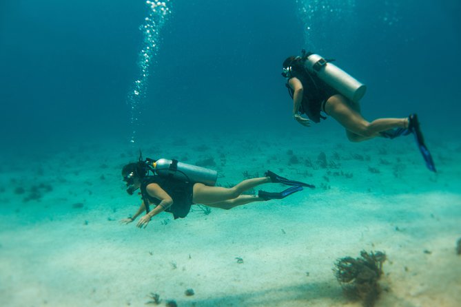 Scuba Diving in Cozumel Island - Additional Information