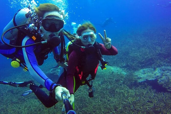 Scuba Diving Tour From Abu Dhabi to Dubai - Contact Information