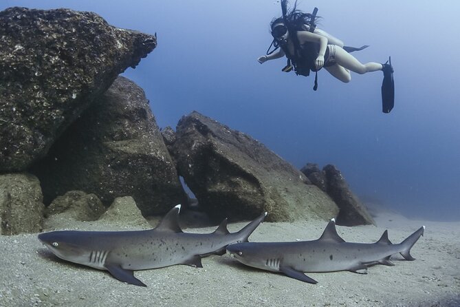 Scuba Diving - Cancellation Policy and Refunds
