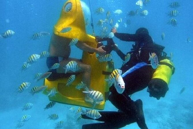 Scuba Doo Diving Sooters - Scuba Doo Diving Scooter FAQs and Common Concerns