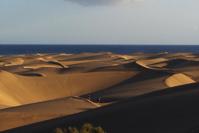 Segway Experience 1 Hour Sightseeing Tour : Visit Maspalomas Dunes, Playa Ingles - Common Questions