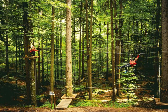 Seilpark High-Ropes Adventure Park Admission in Interlaken - Common Questions