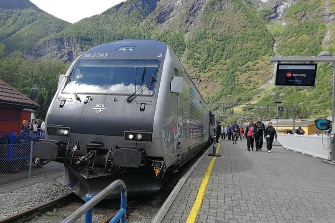 Self-Guided Day Tour - Premium Nærøyfjord Cruise & Flåm Railway - The Sum Up