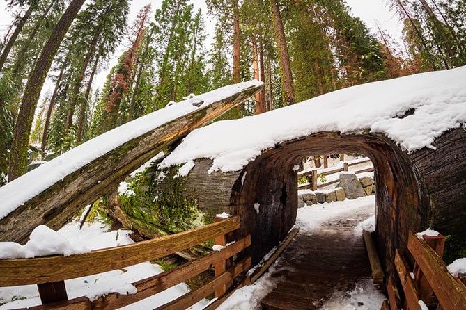 Sequoia National Park Adventure From Tulare - The Sum Up