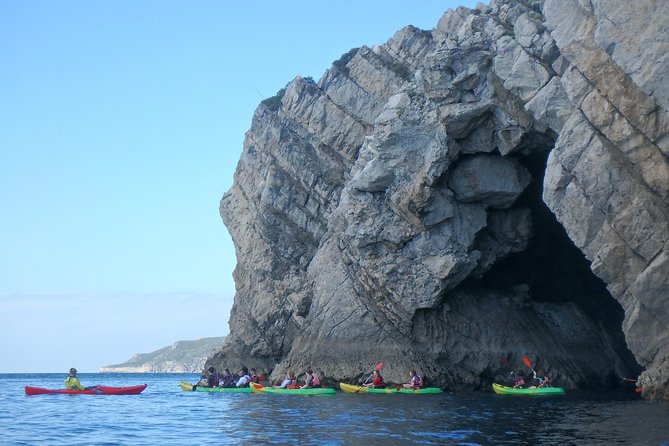 Sesimbra Discovery by Kayak - Pricing and Booking