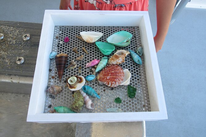 Shark Teeth and Shells, Dolphin and Shelling Tour Boat Clearwater Beach - Directions and Meeting Point Details
