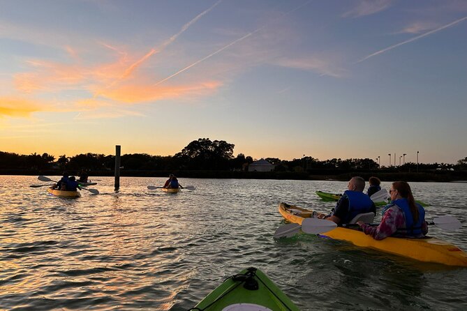 Sharkeys LED Illuminated Night & Sunset Tour on Glass Bottom Kayaks in Sarasota - Disappointing Experiences