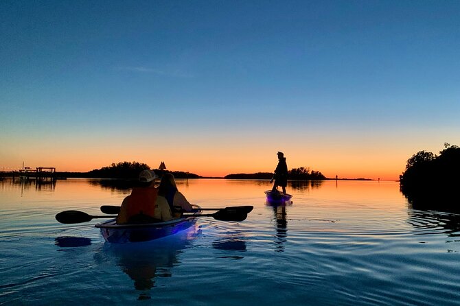 Shell Key Clear Kayak Glow in the Dark Tour - Connection to Nature and Technology Detox