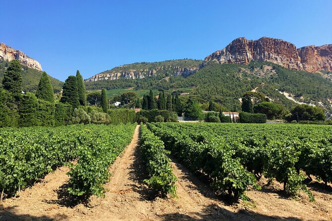 Shore Excursion Private Full Day Wine Tour in Provence From Toulon - Pricing and Terms