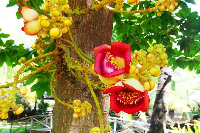 SHORE EXCURSION: Saigon Past and Present Tour - Inclusions