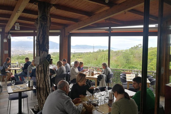 Shore Excursion With Wine & Food Tasting at Cantina Del Vesuvio Winery - Common Questions