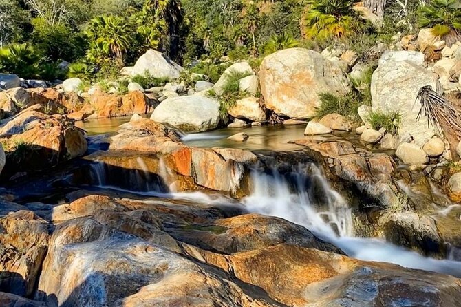 Sierra De La Laguna Hiking and Natural Springs Swim With Waterfalls - The Sum Up