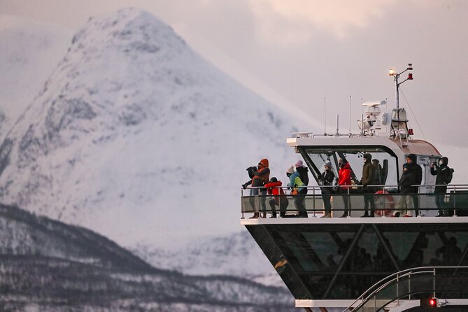 Silent Whale Watching - Highlights of Positive Experiences on the Trip