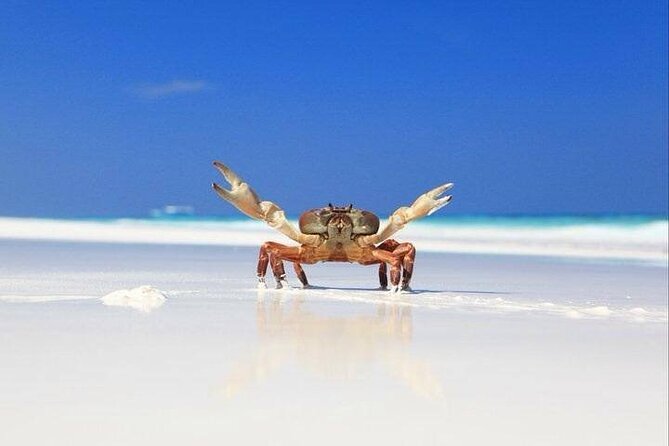 Similan Islands by Speed Boat or Speed Catamaran All Include - Changes Made Less Than 24 Hours Before the Experience Start Time Will Not Be Accepted