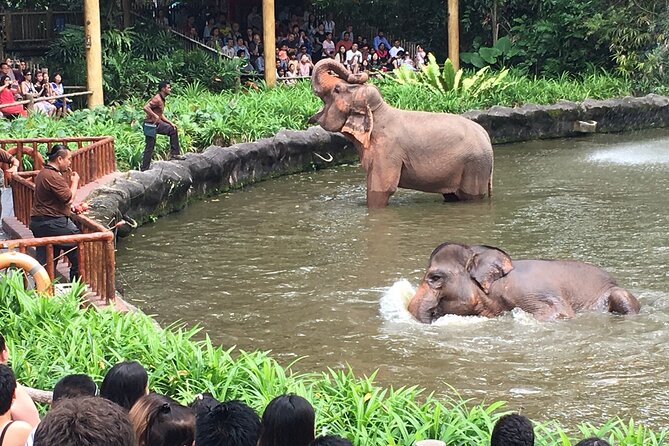 Singapore Zoo & Night Safari Day ( Tickets & Transfer ) - Common Questions