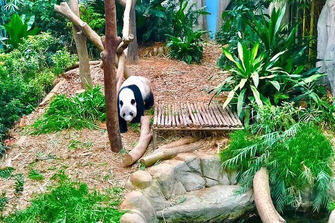 Singapore Zoo - Meeting and Entry Details