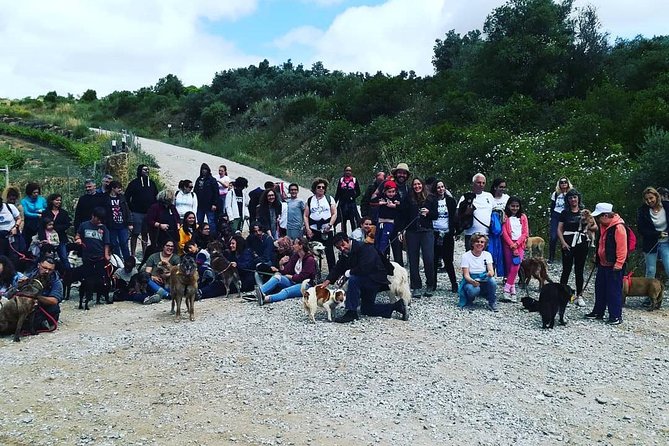 Sintra or Arrabida - Hiking the Natural Wonders of the Lisbon Region - The Sum Up