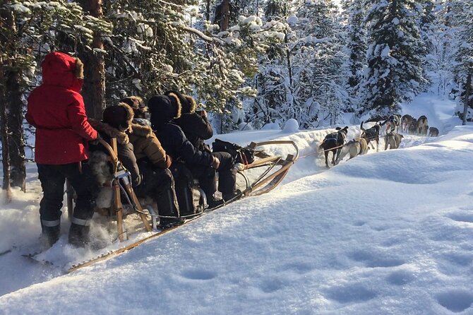 Sit Down Husky Ride Dog Sled Tour in Kiruna - Common Questions