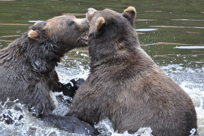 Sitka Sightseeing Tour Including Fortress of the Bear and Totem Poles - Common Questions
