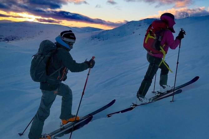 Ski Touring With Norway Mountain Guides. - Pricing and Terms for Ski Touring With Norway Mountain Guides