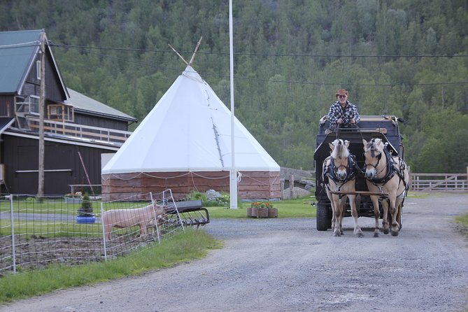 Sleigh Ride W/ Tapas Meal - Experience Arctic Farm Life - Common Questions