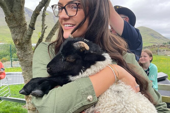 Small Group Aughnanure Castle, Sheepdog Demo & Connemara Tour - Traveler Reviews