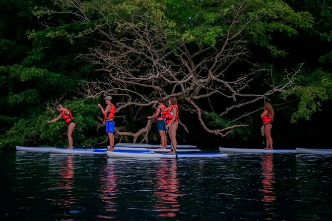 Small-Group Bacalar Paddleboarding Tour - The Sum Up