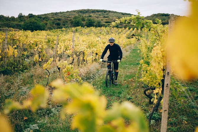 Small-Group Bike Tour in Gallipoli Battlefield - Tour Pricing and Availability