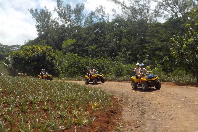 Small-Group Full-Day Jet Ski and Quad Bike Adventure, Moorea - The Sum Up