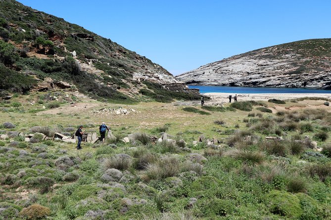 Small-Group Guided Hiking Tour in Andros With Picnic on the Beach - Common Questions