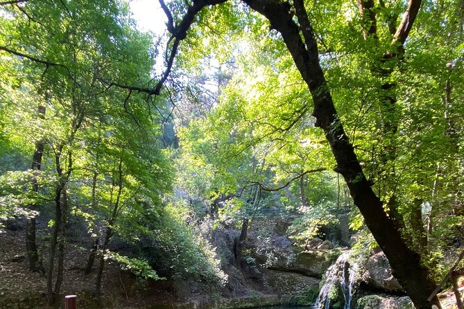 Small Group Hiking to the Valley of the Butterflies of Rhodes - The Sum Up