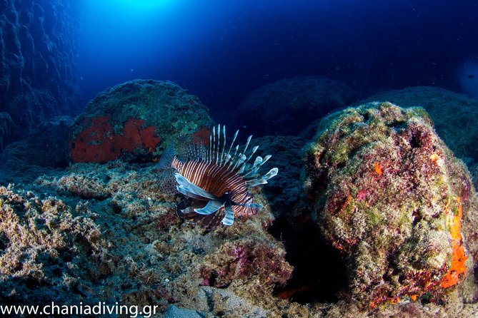 Small-Group Introductory Scuba Diving Class, Crete  - Chania - Diving Experience and Duration