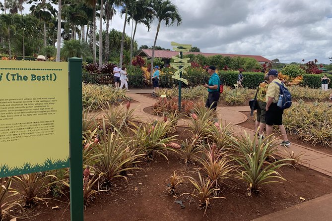 Small Group-Oahu Tour, Dole Plantation, Northshore, Sunset Beach - Additional Resources and Contact Information