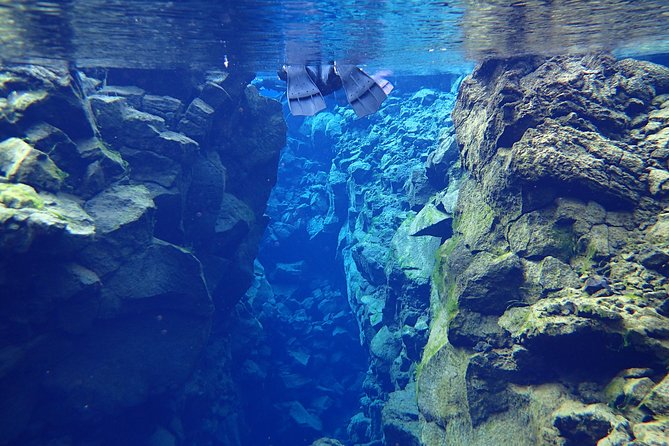 Small-Group Snorkeling in Silfra With Transfer & Free Photos Included - Inclusions and Important Details
