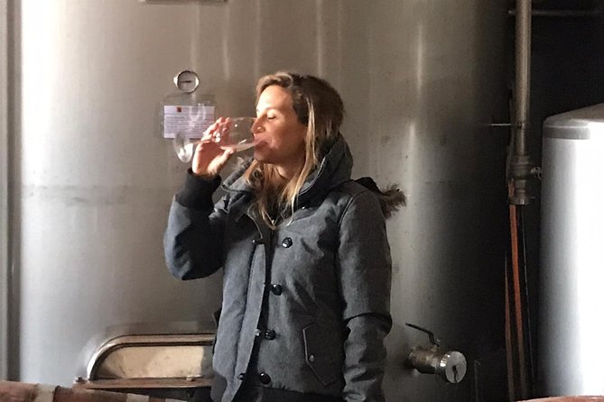 Small Group Wine Tasting Tour From Albufeira - Positive Reviews and Recommendations