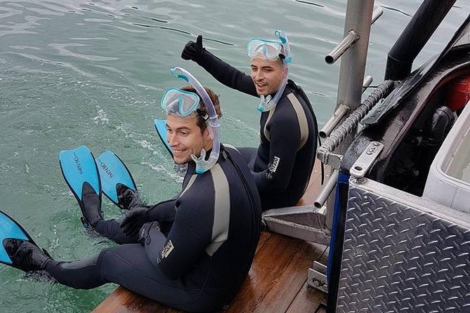 Snorkel, Kayak, and Seal Adventure: Vancouver Boat Tour - Common Questions