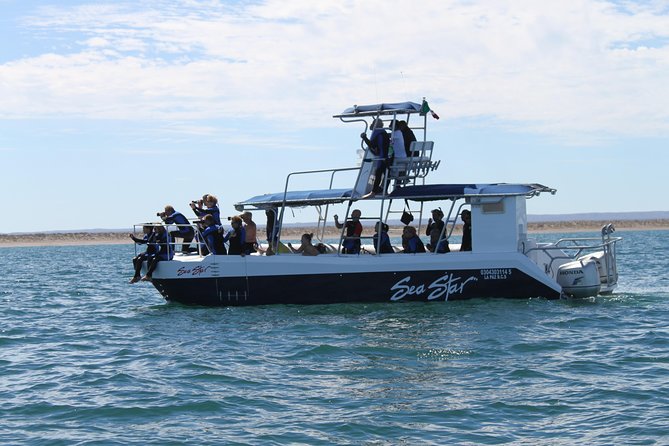 Snorkel & Sea Lion Adventure in Espiritu Santo Island - Common Questions