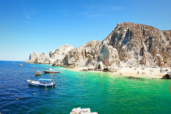 Snorkeling and Whale Watching Tour in Cabo - Local Marine Wildlife
