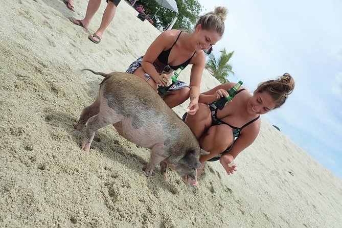 Snorkeling & Kayaking Trip at Koh Madsum and Koh Tan By Speedboat From Koh Samui - The Sum Up