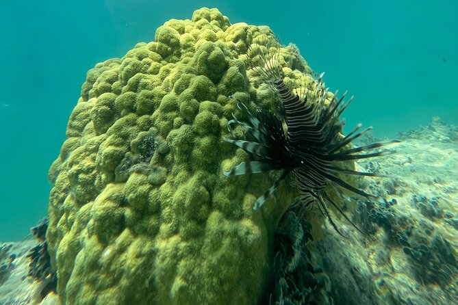 Snorkeling Lesson & Interactive Experience for Kids and Adults - Cancellation Policy and Guidelines