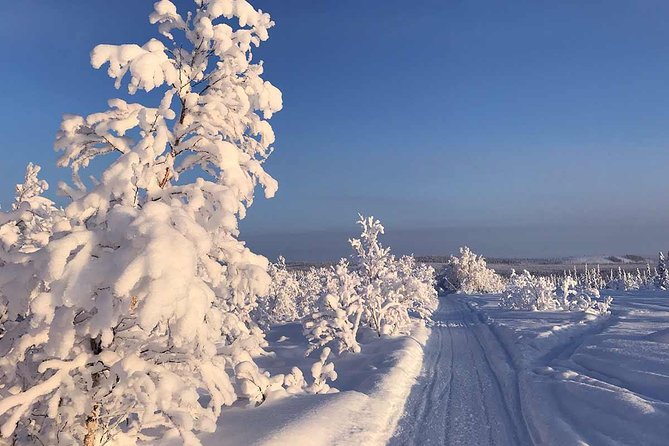 Snowmobile Exclusive Tour - Common Questions