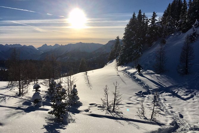Snowshoeing Tour From Baniff  - Banff - Cancellation and Refund Policy
