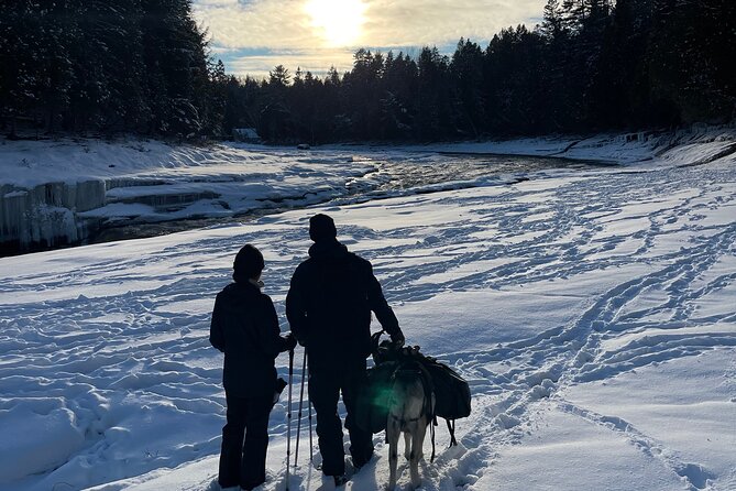 Snowshoeing With Mountain Goats Private Activity - Memorable Experience in Jacques Cartier Valley