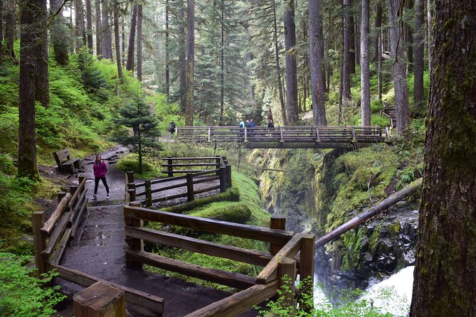 Sol Duc, Lake Crescent, and Hurricane Ridge Guided Tour in Olympic National Park - Tour Details