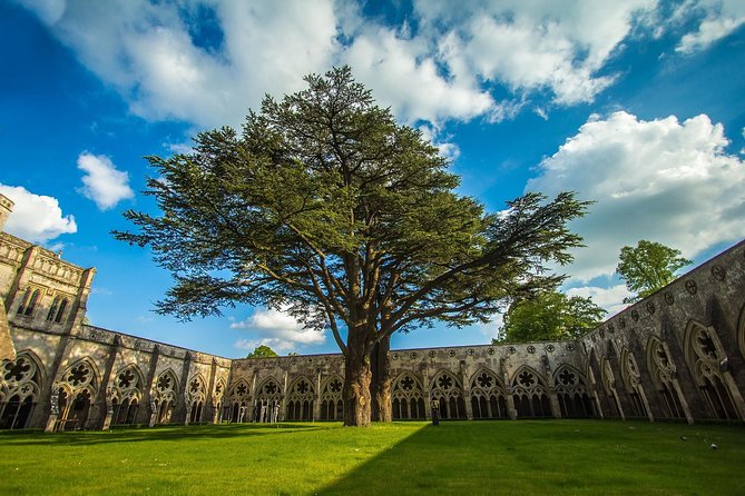 Southampton: Post-Cruise Tour to London via Salisbury, Stonehenge and Windsor - Tips and Recommendations