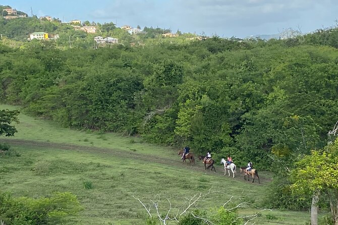 St. Croix Horseback Ride  - St Croix - Inclusions and Meeting Point