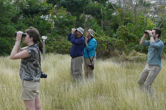 St.Martin - St.Maarten: Small Group, Birding Tour / Bird Watching Tour - Important Notes and Considerations