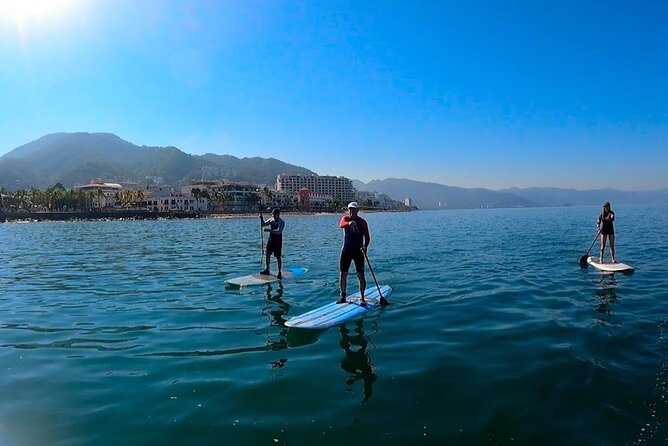 Stand Up Paddle Boarding Adventure in Puerto Vallarta - What to Expect