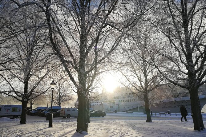 Stockholm Christmas Tour and Food Experience - Hosts Response and Tripadvisor Link